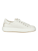 Paul Green Sneaker in Beige/Gold