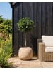 Beliani Outdoor Blumentopf ITAMOS in Beige - (W) 42 x (H) 44 x (L) 42 cm
