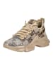 Steve Madden Sneaker in Braun/Rosa