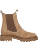Palado Chelsea Boots Luctoria in Beige