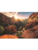 Ravensburger Puzzle 1.000 Teile Zion Canyon USA Ab 14 Jahre in bunt