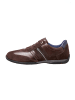 LLOYD Sneaker BARBADOS in BRAUN