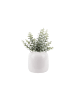 Present Time Vase Ivy Large - Weiß - 11.5x11.5x20.5cm