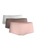 Calida Panty, 3er-Pack in multicolor