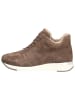 Caprice Stiefelette in DK TAUPE SUEDE