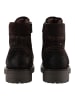 Nero Giardini Stiefelette in Dunkelbraun
