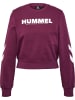 Hummel Hummel Sweatshirt Hmllegacy Damen in GRAPE WINE