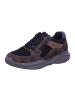 Xsensible Sneaker in braun