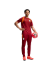 Puma Galatasaray Istanbul Trainings Trikot der Saison 26-27 in Rot