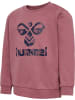 Hummel Druckknopf Sweatshirt Hmlcitrus Jungen in !DECO ROSE