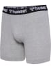 Hummel Hmlboxers Lebensstil Herren in GREY MELANGE