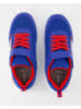 Geox Klettschuhe in Blau
