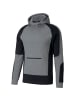 Puma Sweatshirt EVOSTRIPE in Grau