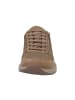 Solidus Sneaker Low in braun