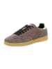 Sun68 Sneaker Low in Braun