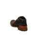 Floris van Bommel Stiefeletten/Boot in braun