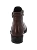 palado Stiefeletten in dk brown