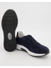 Pius Gabor Sneaker low in Blau