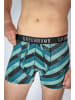 GreenBomb Trunk Bike Stripes in Mix Blau