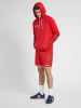 Hummel Hummel Poly Kapuzenpullover Hmlauthentic Multisport Herren in TRUE RED