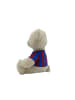 FC Barcelona Plüschbär 35cm Kuscheltier mit T-Shirt