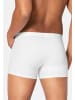 Sloggi Long Short / Pant 24/7 in Weiß