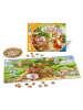 Ravensburger Lernspiel tiptoi® Die flinken Sprach-Hörnchen - ab 3 Jahre 3-5 Jahre in bunt