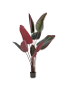 Beliani Kunstpflanze BANANA TREE in Grün/Schwarz/Rot - (W) 95 x (H) 163 x (L) 95 cm