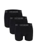 GreenBomb Trunk Basic in Schwarz