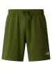 The North Face M BLANCA LIGHT REGULAR SHORT in Grün2078