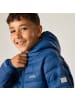 Regatta Marizion Baffle-Jacke / Steppjacke mit Kapuze in Blau