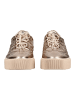 Högl Sneaker in Bronze
