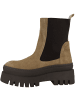 Steve Madden Chelsea Boots Cassandra in beige