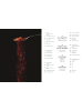 Dorling Kindersley  Gewürze - Das Kochbuch