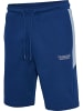 Hummel Hummel Kurze Hose Hmllgc Herren in ESTATE BLUE