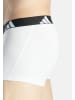 Adidas Sportswear Retro Short / Pant Active Flex Cotton in Mehrfarbig