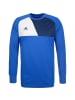 adidas Performance Torwarttrikot Assita 17 in blau / weiß