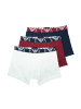 Emporio Armani Boxer in mehrfarbig