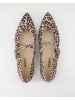 Paul Green Ballerinas in Braun