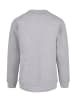 F4NT4STIC Sweatshirt San Diego CREW in grau meliert