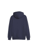 Puma Sweatshirt in Blau