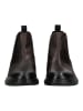 Geox Stiefelette in Coffee