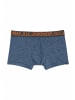 H.I.S Boxer in navy, grau-meliert, blau-meliert, schwarz