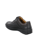 Jomos Freizeitschuhe in schwarz/braun in schwarz/braun