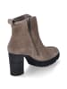 Paul Green Stiefeletten in Taupe