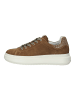 Nero Giardini Sneaker in Braun