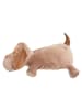 4Living Kissen in beige