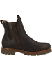 PANAMA JACK Chelsea Boots Beny Igloo in dunkelbraun