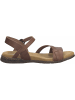 Josef Seibel Riemchen Sandalen für Damen in braun