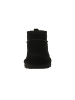 Bearpaw Boots Shorty in Schwarz